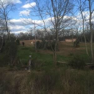 Meet your Posher, Sanh